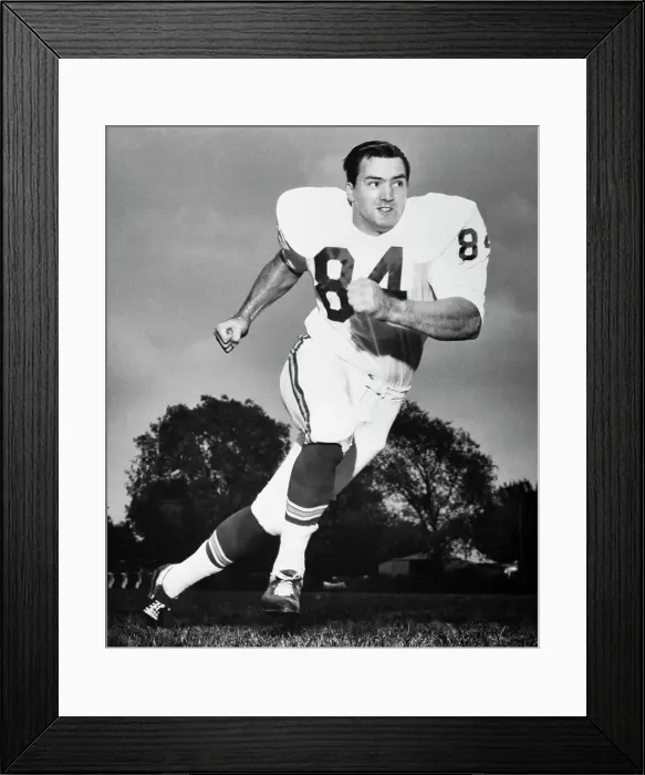 Framed Print : Kansas City Chiefs End Fred Arbanas Framed Print : Kansas City Chiefs End Fred Arbanas