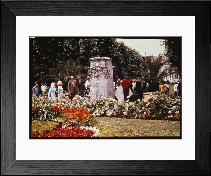 Framed Print : Czech Students Knocking Over Statue Framed Print : Czech Students Knocking Over Statue