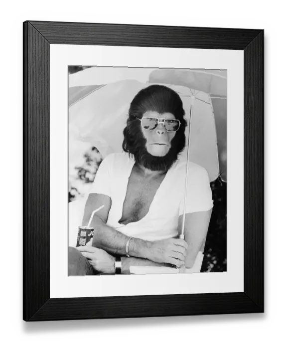 Framed Print : Roddy McDowall in Costume for Planet of the Apes Framed Print : Roddy McDowall in Costume for Planet of the Apes