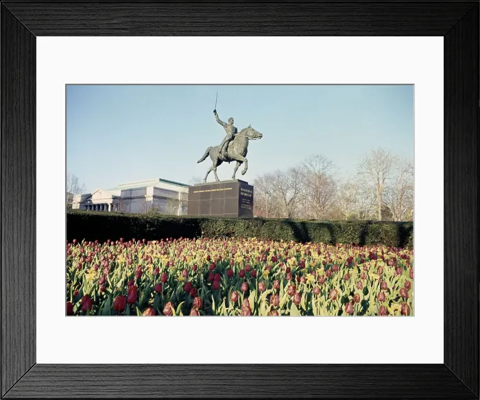 Framed Print : Statue Of Simon Bolivar Framed Print : Statue Of Simon Bolivar