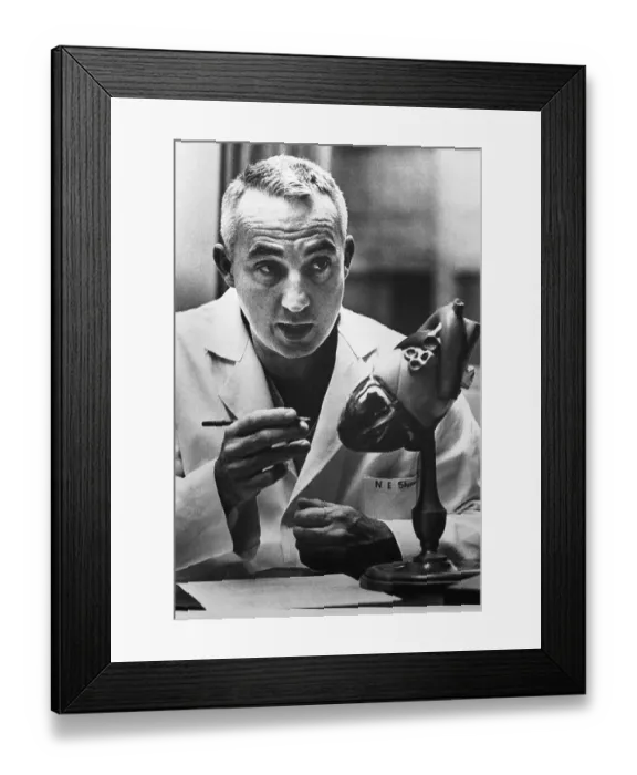 Framed Print : Doctor Working on Model Heart Framed Print : Doctor Working on Model Heart