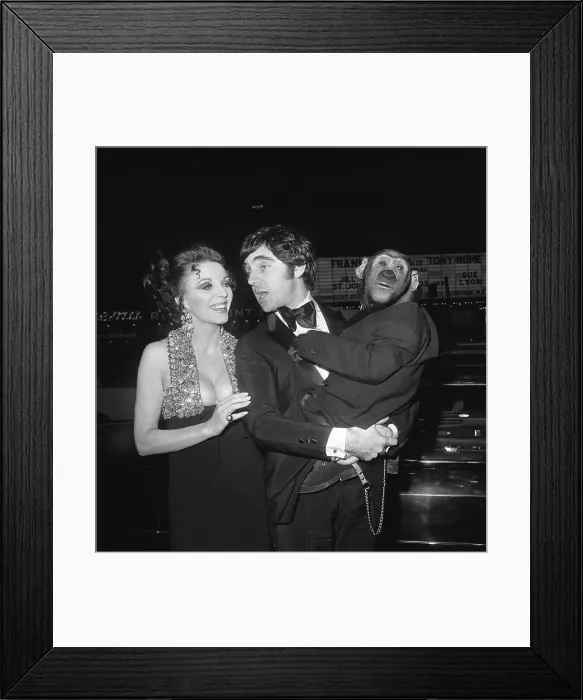 Framed Print : Anthony Newley and Joan Collins with Chimp Framed Print : Anthony Newley and Joan Collins with Chimp