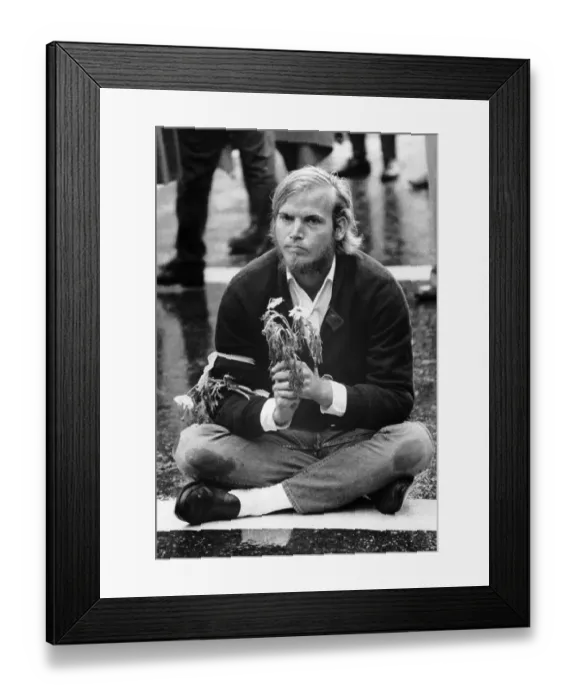 Framed Print : Antiwar Protester Sits on Sidewalk Holding Daisies Framed Print : Antiwar Protester Sits on Sidewalk Holding Daisies