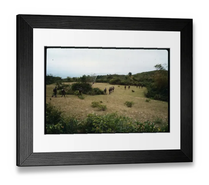 Framed Print : Soldiers Marching Across a Field Framed Print : Soldiers Marching Across a Field