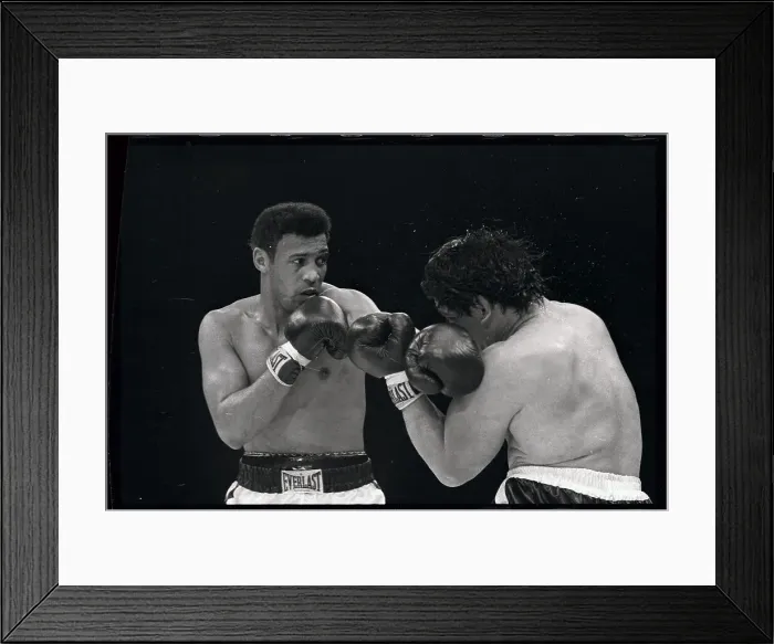 Framed Print : Boxers in Action Framed Print : Boxers in Action
