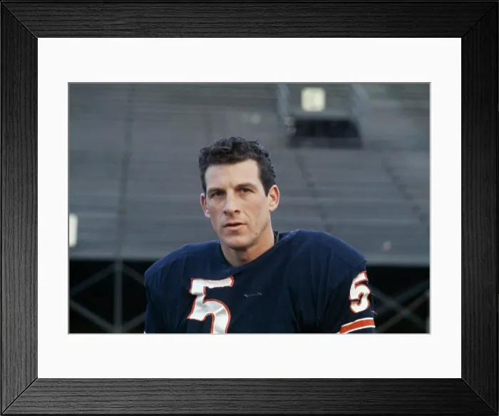 Framed Print : Rudy Bukich Framed Print : Rudy Bukich