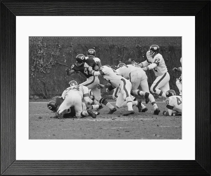 Framed Print : Gale Sayers Plunging Through New York Giants Defense Framed Print : Gale Sayers Plunging Through New York Giants Defense