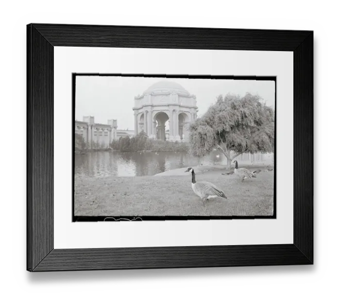 Framed Print : The Palace of Fine Arts in San Francisco Framed Print : The Palace of Fine Arts in San Francisco