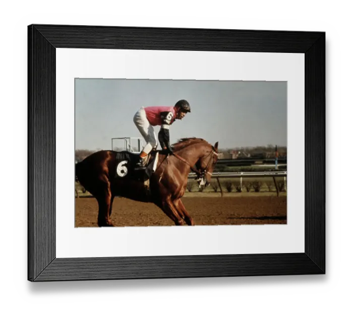 Framed Print : Angel Cordero