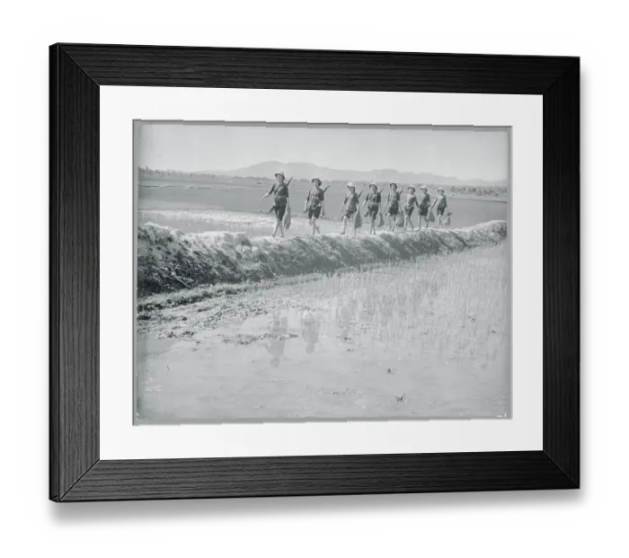 Framed Print : Women Marching to a Rice Paddy Framed Print : Women Marching to a Rice Paddy