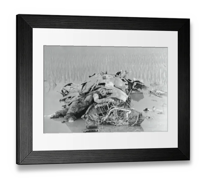Framed Print : North Vietnam:Dead American Pilot On Wreckage 1967 Framed Print : North Vietnam:Dead American Pilot On Wreckage 1967
