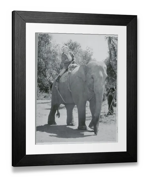 Framed Print : Helen Hayes Riding an Elephant Framed Print : Helen Hayes Riding an Elephant