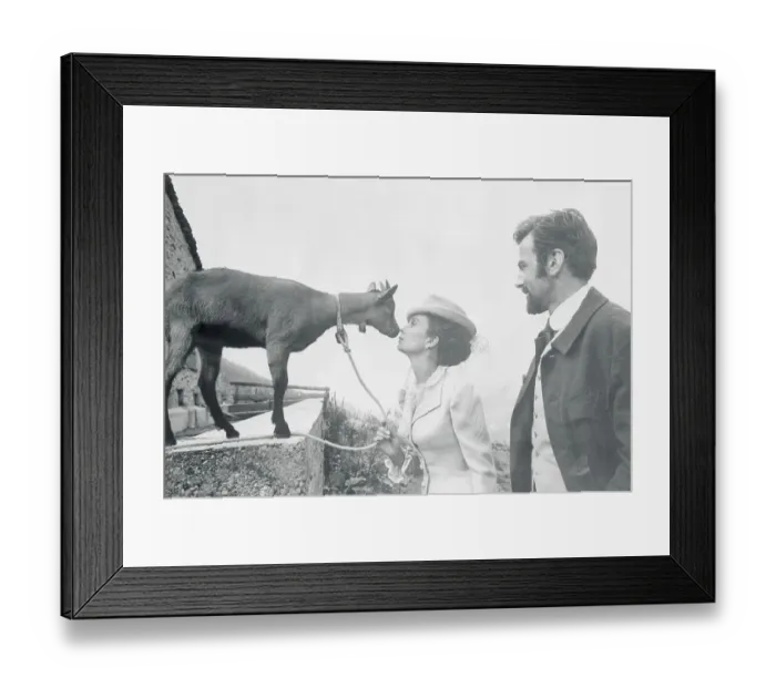 Framed Print : Jean Simmons Rubbing Noses with a Goat Framed Print : Jean Simmons Rubbing Noses with a Goat