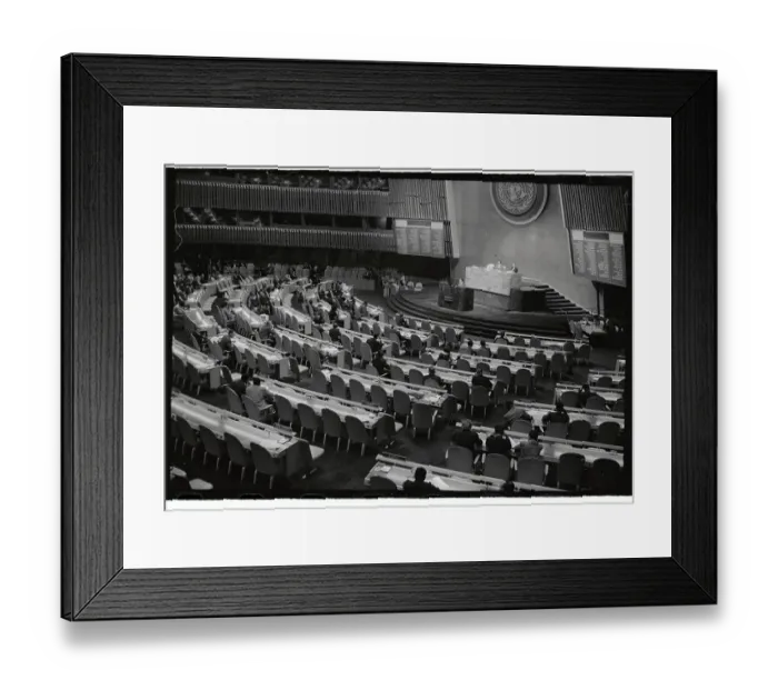 Framed Print : U.N. General Assembly Framed Print : U.N. General Assembly