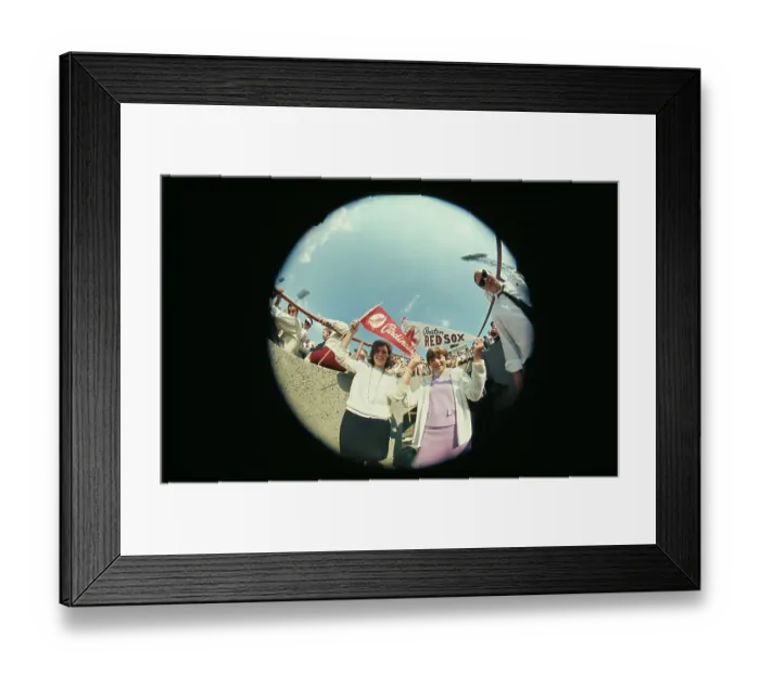 Framed Print : Baseball Fans Framed Print : Baseball Fans