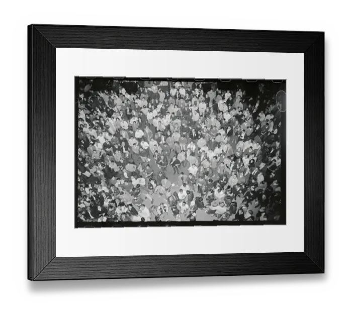 Framed Print : Fans Celebrating Red Sox Win Framed Print : Fans Celebrating Red Sox Win