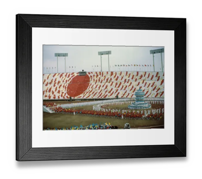 Framed Print : Soka Gakkai Festival Framed Print : Soka Gakkai Festival