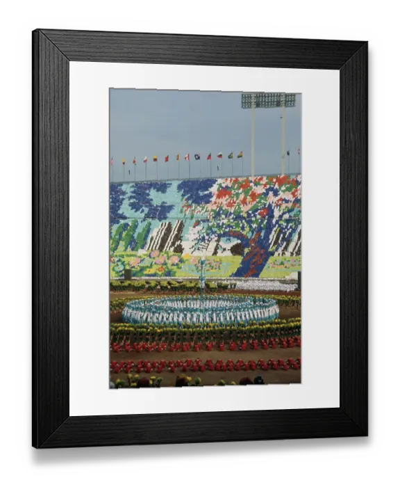 Framed Print : Soka Gakkai Festival Framed Print : Soka Gakkai Festival