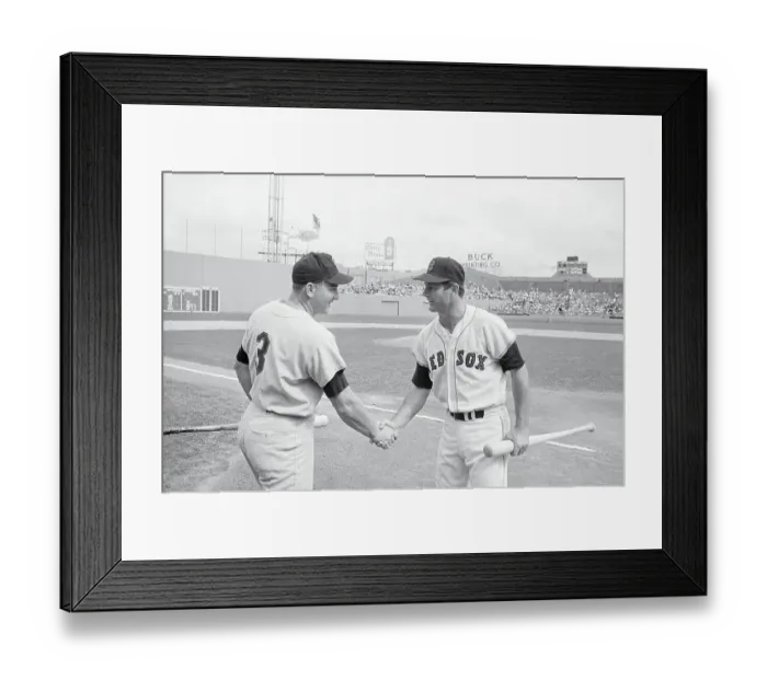 Framed Print : Harmon Killebrew Shaking Hands with Carl Yastrzemski Framed Print : Harmon Killebrew Shaking Hands with Carl Yastrzemski