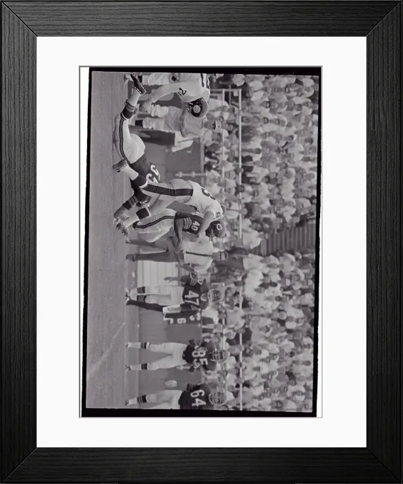 Framed Print : Steelers VS Bears Framed Print : Steelers VS Bears