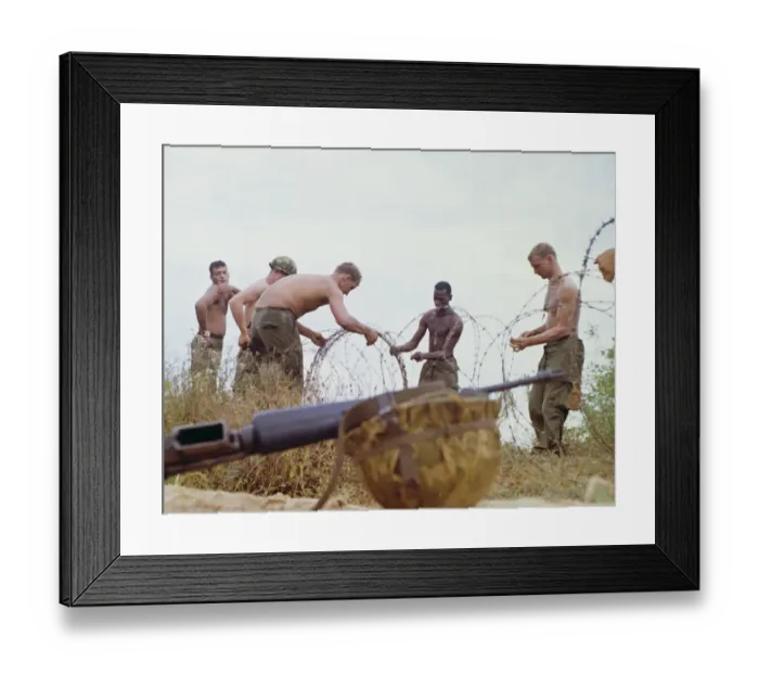 Framed Print : US Soldiers Stringing Barbed Wire Framed Print : US Soldiers Stringing Barbed Wire