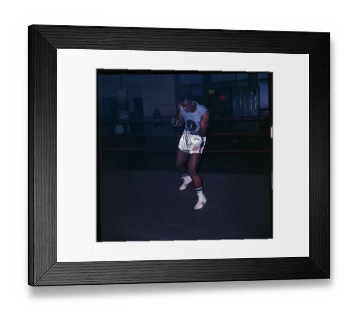 Framed Print : Boxer Forrest Lee Ward Framed Print : Boxer Forrest Lee Ward