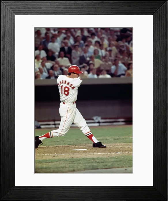 Framed Print : Mike Shannon Framed Print : Mike Shannon
