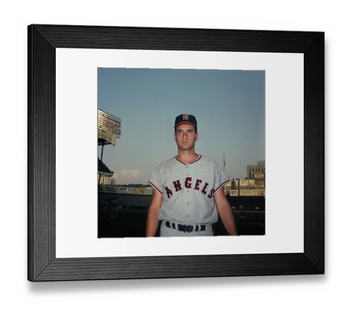 Framed Print : Tom Satriano Framed Print : Tom Satriano