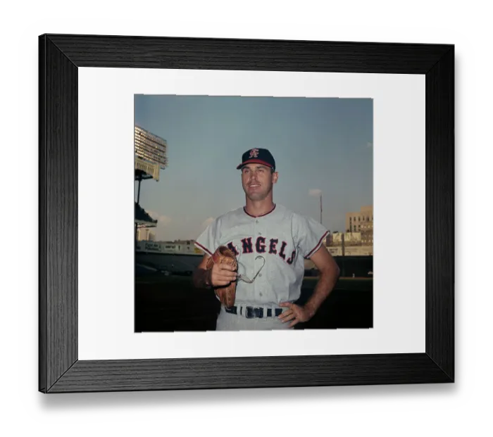 Framed Print : Hawk Taylor Framed Print : Hawk Taylor
