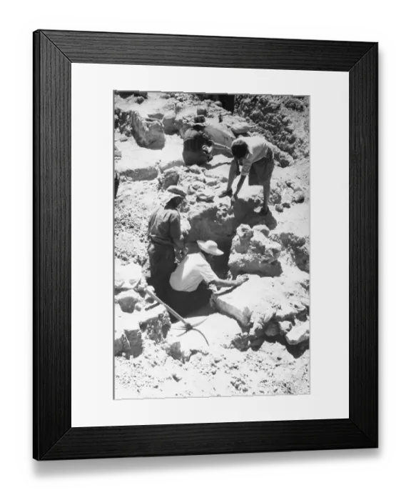 Framed Print : James Mavor and Others Excavating Framed Print : James Mavor and Others Excavating