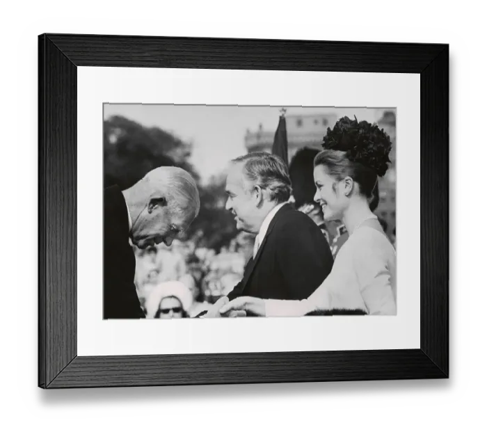 Framed Print : Ambassador of Netherlands Meeting Princess Grace