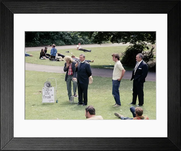 Framed Print : Debate In Golden Gate Park Framed Print : Debate In Golden Gate Park