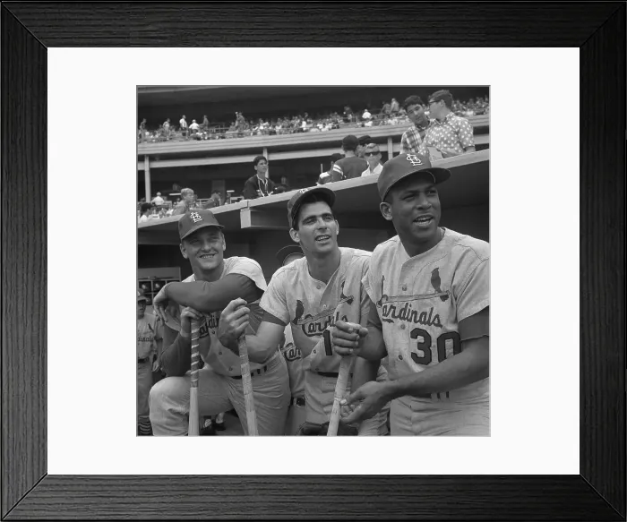 Framed Print : Portrait of Roger Maris, Mike Shannon, and Orlando Cepeda Framed Print : Portrait of Roger Maris, Mike Shannon, and Orlando Cepeda