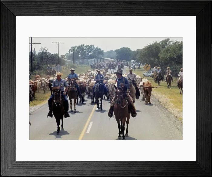 Framed Print : Cattlemen In Texas Framed Print : Cattlemen In Texas