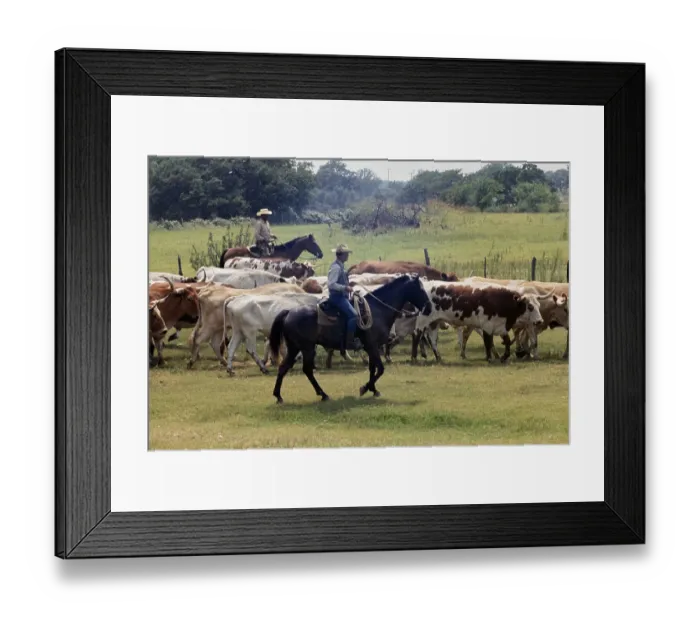 Framed Print : Cattlemen In Texas Framed Print : Cattlemen In Texas