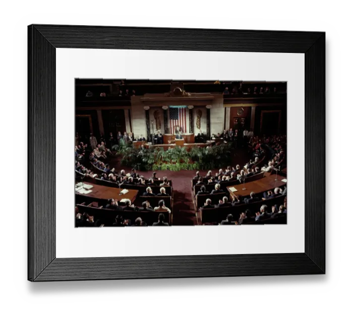 Framed Print : House of Representatives Framed Print : House of Representatives
