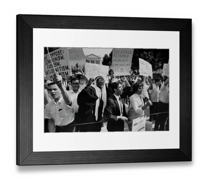 Framed Print : Anti-Israel Protestors In Washington Framed Print : Anti-Israel Protestors In Washington