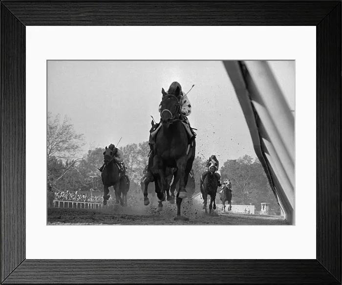 Framed Print : Willie Shoemaker on Damascus Winning Preakness Framed Print : Willie Shoemaker on Damascus Winning Preakness