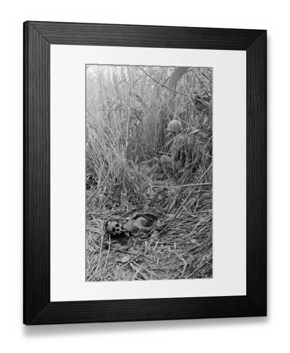 Framed Print : Decomposed Remains and Items in Vietnamese Grassland Framed Print : Decomposed Remains and Items in Vietnamese Grassland