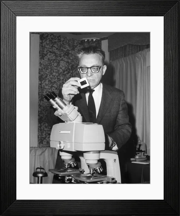 Framed Print : Docter Looking @ Slide; Microscope Framed Print : Docter Looking @ Slide; Microscope