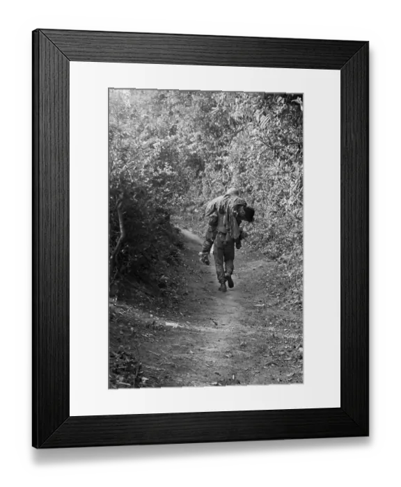 Framed Print : American Marine Carrying Wounded Buddy over Terrain