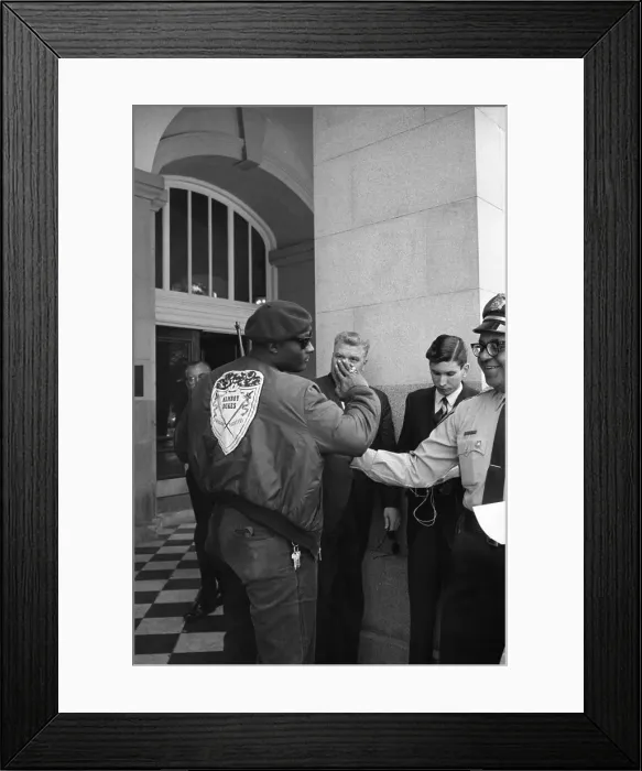 Framed Print : Black Panthers Framed Print : Black Panthers