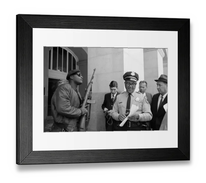 Framed Print : Black Panthers Framed Print : Black Panthers