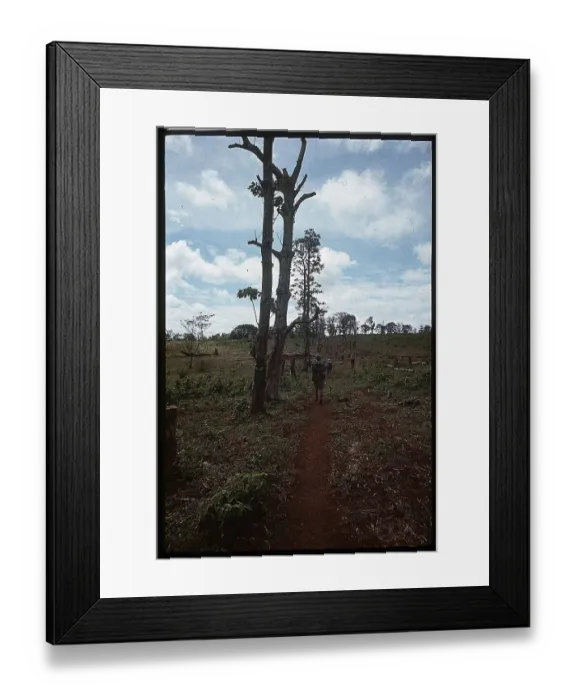 Framed Print : Marines Walking Down Tree Lines Trail Framed Print : Marines Walking Down Tree Lines Trail