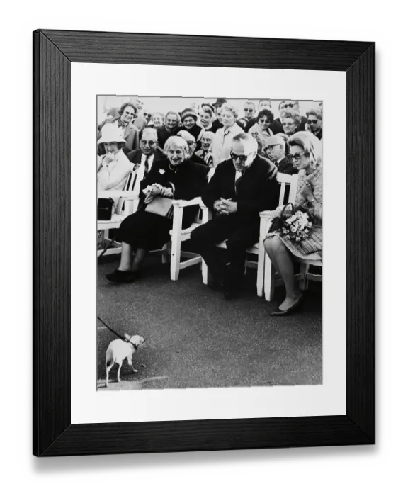 Framed Print : Crowd Watching Small Dog Framed Print : Crowd Watching Small Dog