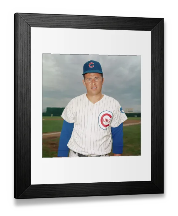 Framed Print : Infielder Ron Santo of the Chicago Cubs Framed Print : Infielder Ron Santo of the Chicago Cubs