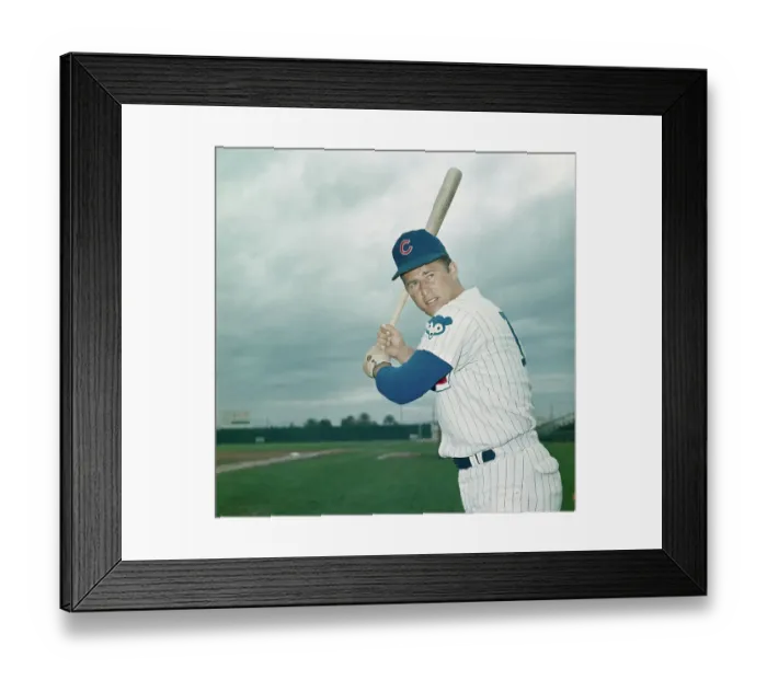 Framed Print : Portrait of Ron Santo Framed Print : Portrait of Ron Santo