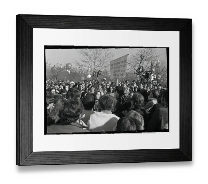 Framed Print : Large Group of Young People Congregated in Central Park