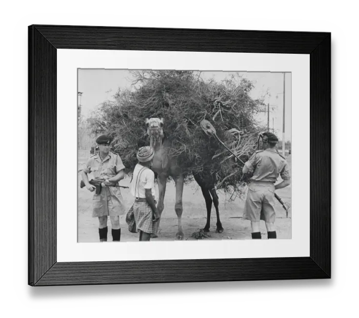 Framed Print : British Soldiers Securing Area