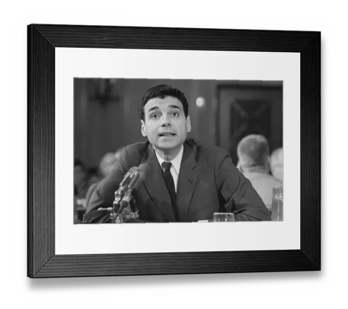 Framed Print : Ralph Nader Testifying Before the Senate